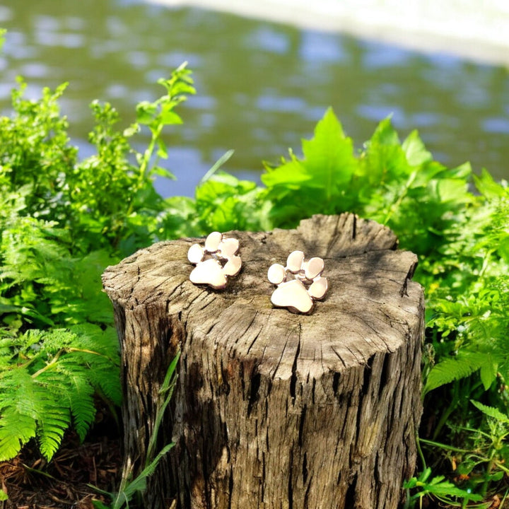 Hypoalergénne pootoorbelly 